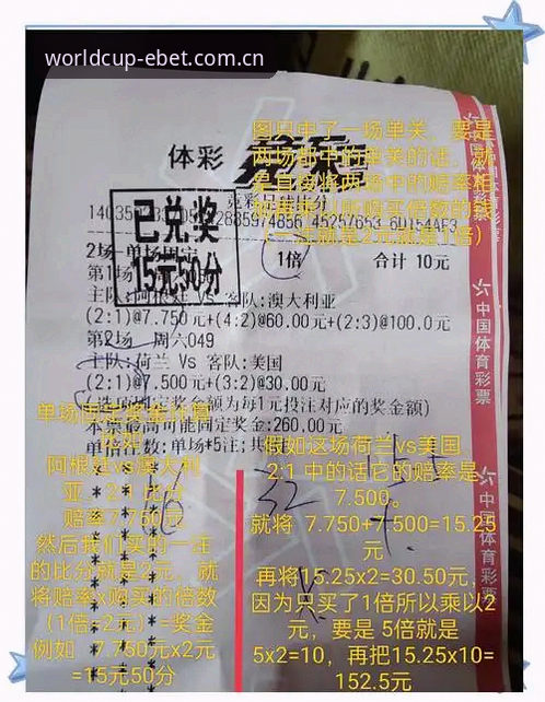 2024买世界杯竞猜最新动态：EBET官方网站全面评测与实用心得分享